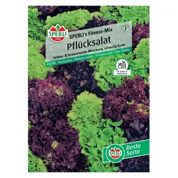 Wybierz sałatę 'SPERLI's Fitness-Mix (Red salad bowl, Salad bowl, Lollo rossa, Lollo Bionda)' Nasiona PREMIUM Sperli