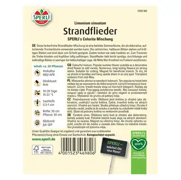 Zatrwian 'SPERLI's Colorita Mischung' Nasiona PREMIUM Sperli