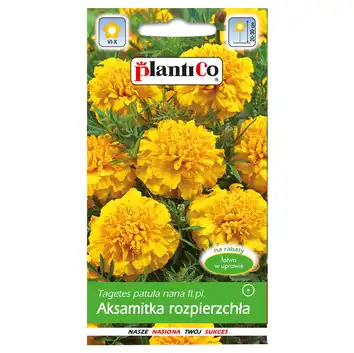 Aksamitka rozpierzchła żółta 1g PlantiCo