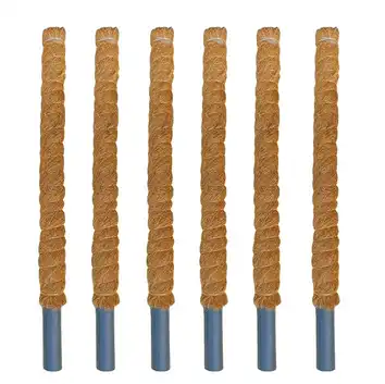 Zestaw Palik kokosowy 40cmx32mm 6 szt