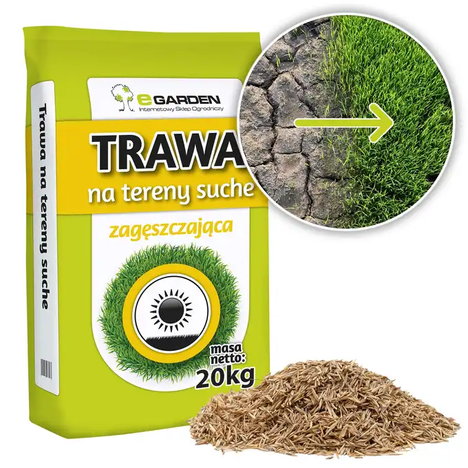Trawa Na Tereny Suche Piaszczyste Nasłonecznione 20 kg - Wytrzymała