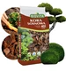 Biovita Kora drobna frakcja 0-30 40l