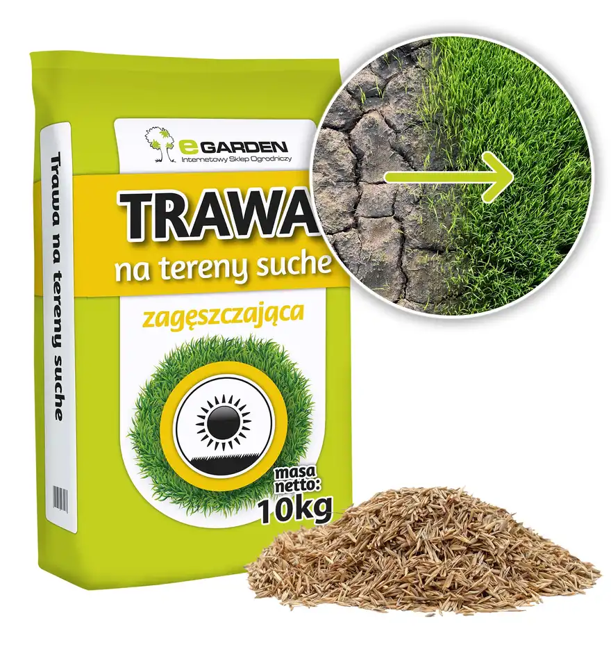 Trawa Na Tereny Suche Piaszczyste Nasłonecznione 10 kg - Wytrzymała