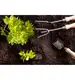 Biovita Obornik naturalny kurzy granulowany Optima 20L