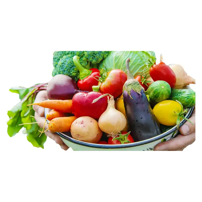 Biovita Ziemia do warzyw i pomidorów BIO 40l
