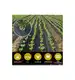 SKARDEN Agrotkanina 1,1x100m CZARNA 70g/m2