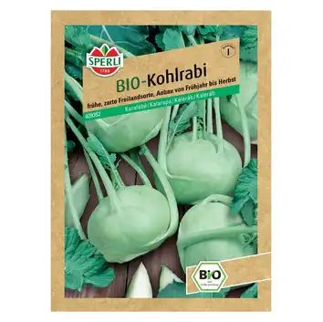BIO kalarepa 'Noriko' Nasiona PREMIUM Sperli