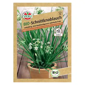 BIO szczypiorek czosnkowy '' Nasiona PREMIUM Sperli