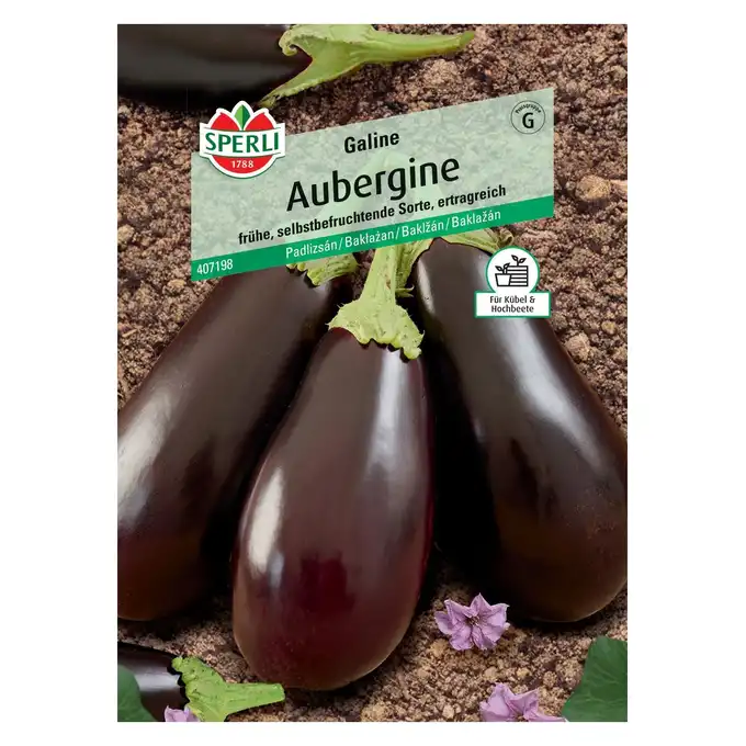 Bakłażan 'Galine' Nasiona PREMIUM Sperli