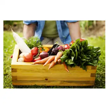 Biovita Obornik naturalny kurzy granulowany Optima 10l