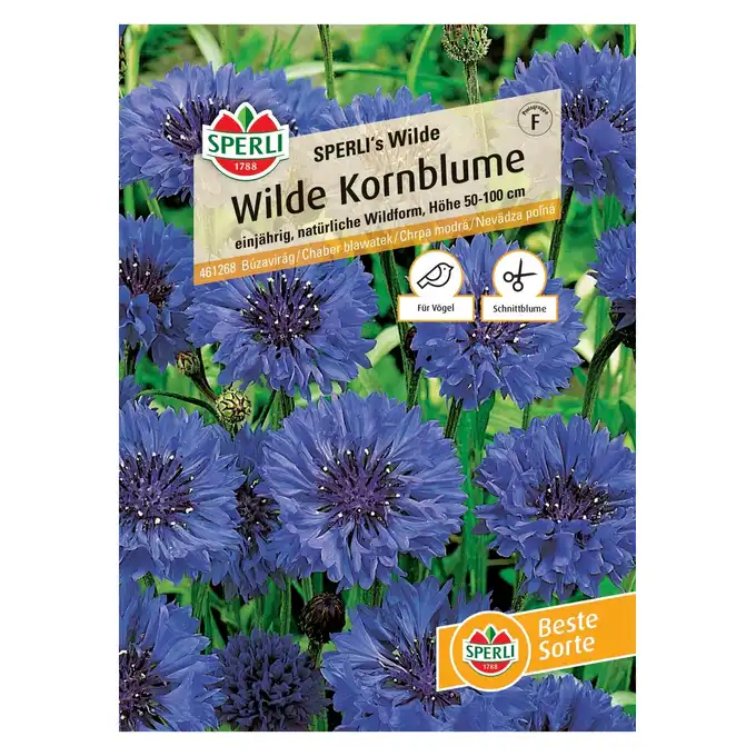 Chaber bławatek 'SPERLI's Wilde' Nasiona PREMIUM Sperli