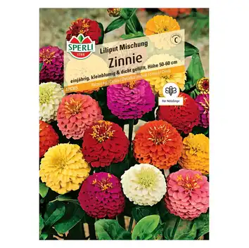 Cynia 'Liliput Mischung' Nasiona PREMIUM Sperli