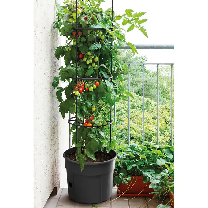 Doniczka do uprawy pomidorów, warzyw, owoców Tomato Grower 12L + 28L antracyt