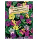 Dziwaczek jalapa 'Broken Colours Mix' Nasiona PREMIUM Sperli