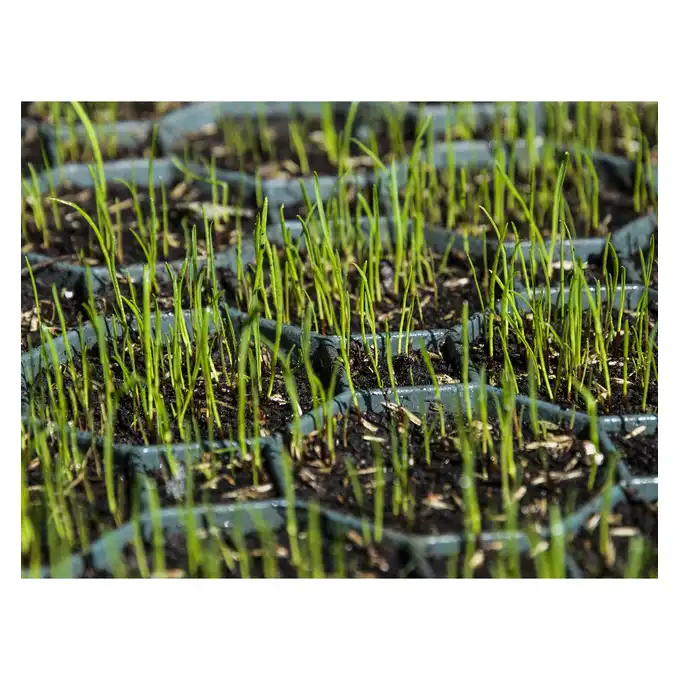 KRATA STABILIZUJĄCA STELLA GREEN GEOKRATA TRAWNIK 70 szt. (47,3x47,3x4cm)