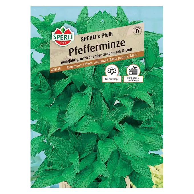 Mięta pieprzowa 'SPERLI's Pfeffi' Nasiona PREMIUM Sperli