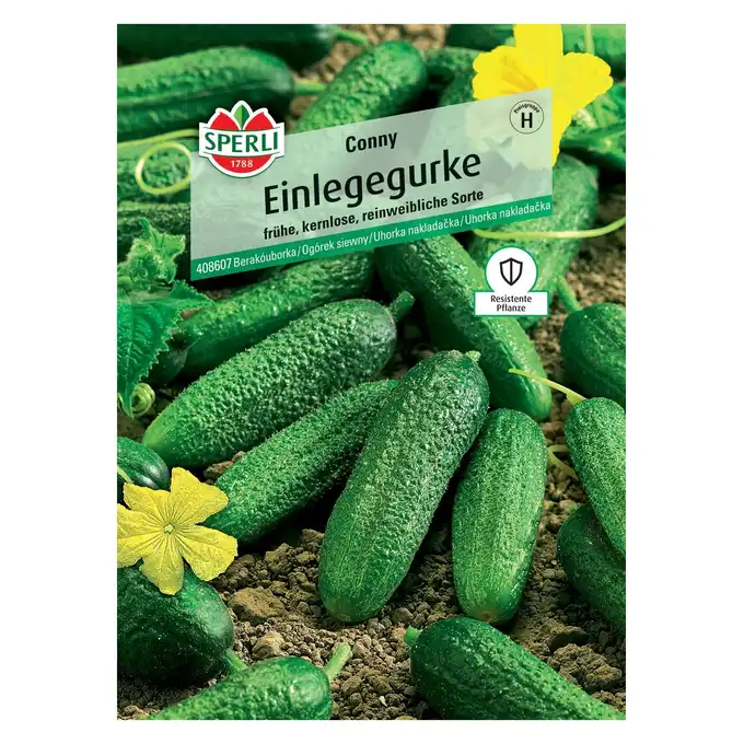 Ogórek siewny 'Conny' Nasiona PREMIUM Sperli