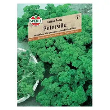 Pietruszka 'Grüne Perle' Nasiona PREMIUM Sperli