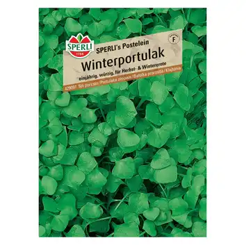 Portulaka zimowa 'SPERLI's Postelein' Nasiona PREMIUM Sperli