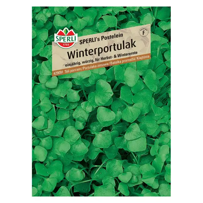 Portulaka zimowa 'SPERLI's Postelein' Nasiona PREMIUM Sperli