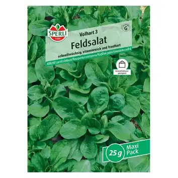 Roszponka warzywna 'Volhart 3' Nasiona PREMIUM Sperli