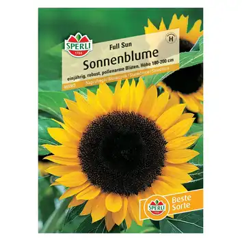 Słonecznik 'Full Sun' Nasiona PREMIUM Sperli