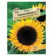 Słonecznik 'Full Sun' Nasiona PREMIUM Sperli