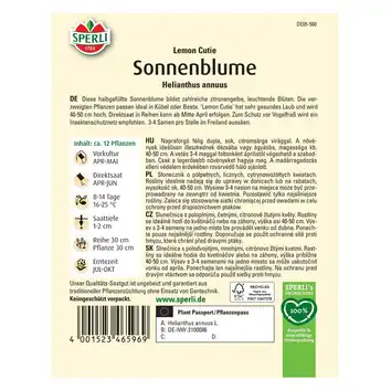 Słonecznik  'Lemon Cutie' Nasiona PREMIUM Sperli