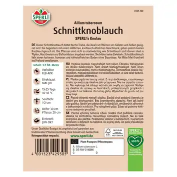 Szczypiorek czosnkowy 'SPERLI's Knolau' Nasiona PREMIUM Sperli