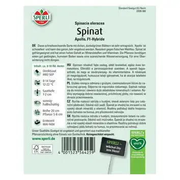 Szpinak  'Apollo, F1' Nasiona PREMIUM Sperli