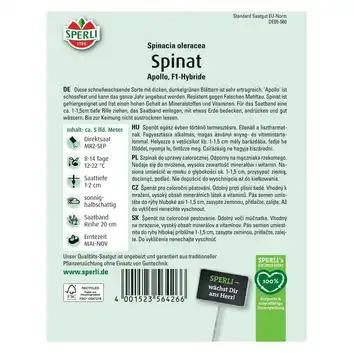 Szpinak  'Apollo, F1' Nasiona PREMIUM Sperli