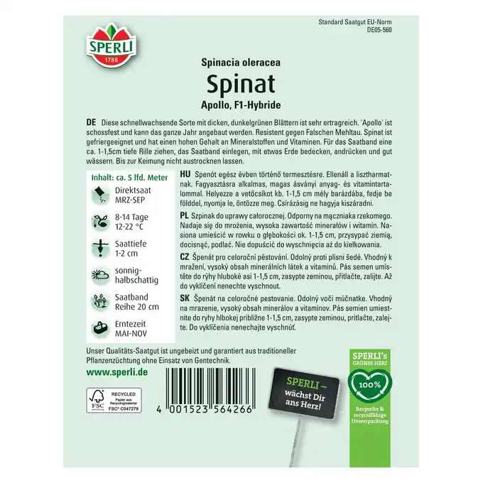 Szpinak  'Apollo, F1' Nasiona PREMIUM Sperli