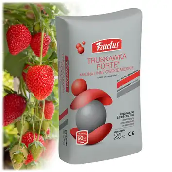 Fructus Nawóz mineralny Truskawka Forte 25 kg