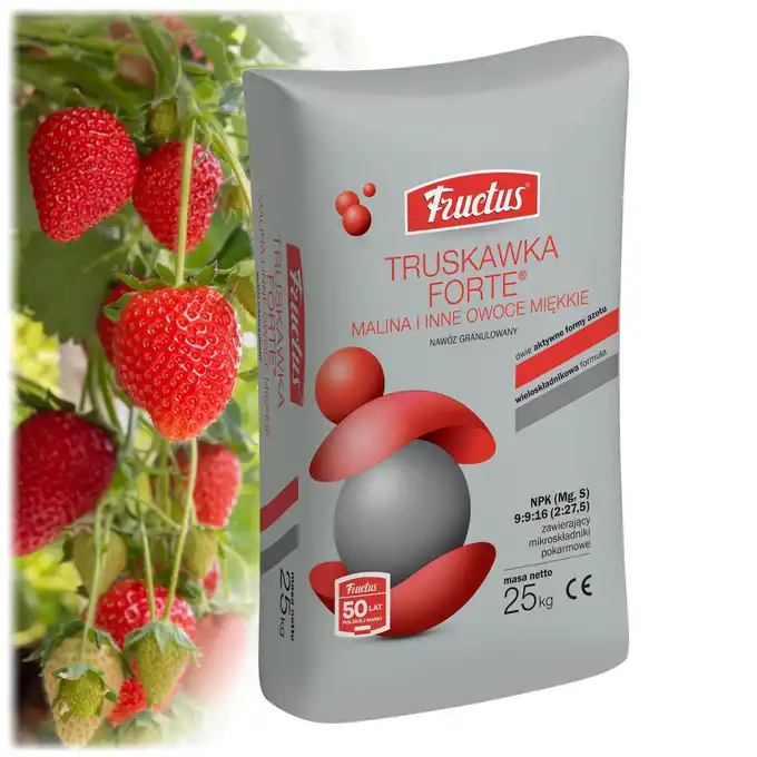 Fructus Nawóz mineralny Truskawka Forte 25 kg