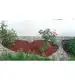 2 x Elastyczne obrzeże trawnikowe GARDENER 4 cm x 10 m + kotwy 40 szt.