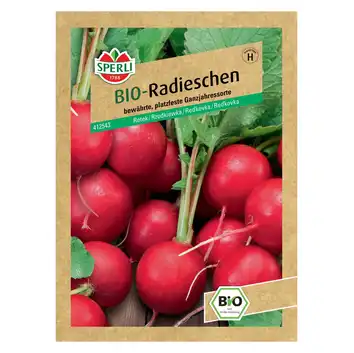 BIO rzodkiewka 'Raxe' Nasiona Sperli