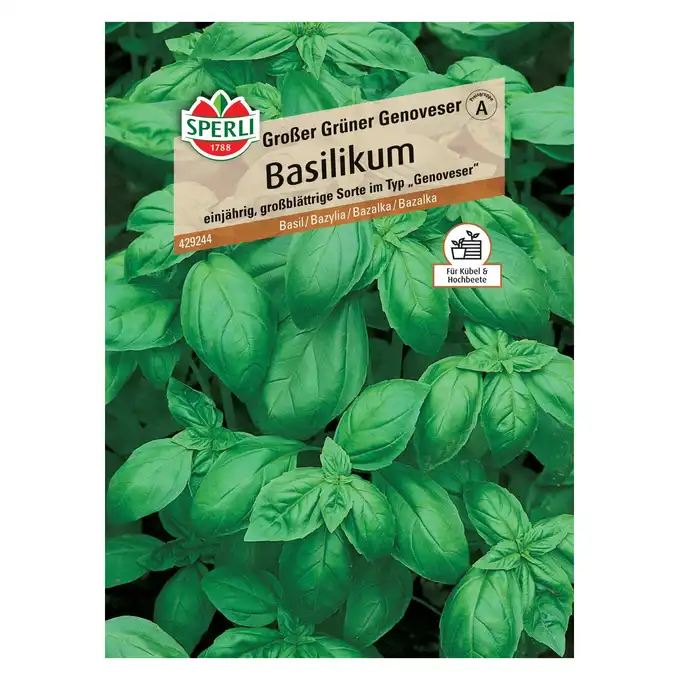 Bazylia "Grosses Grünes" nasiona Sperli