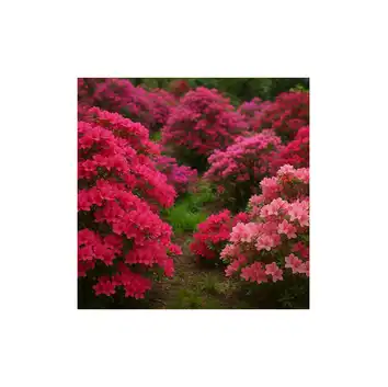 Fructus Nawóz ogrodniczy do rododendronów i azalii mineralny 1 kg