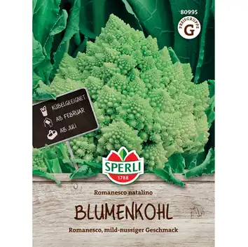 Kalafior 'Romanesco Natalino'  nasiona Sperli