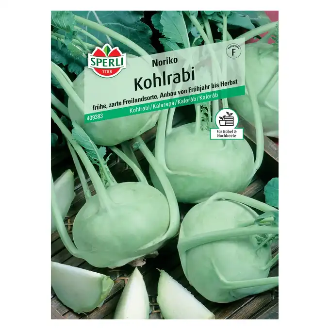 Kalarepa 'Noriko' nasiona Sperli