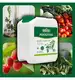 Nawóz z pokrzywy Biovita 5L