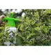 Opryskiwacz ciśnieniowy kompresyjny ręczny 3 L Garden Line