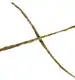 Sznurek JUTOWY 2mm/40m/100g ozdobny, naturalny, do pakowania