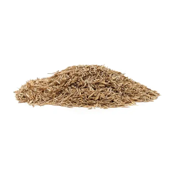Trawa Samonawożąca z mikrokoniczyną 10kg 400m2 eGarden