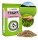 Trawa Samonawożąca z mikrokoniczyną 10kg 400m2 eGarden