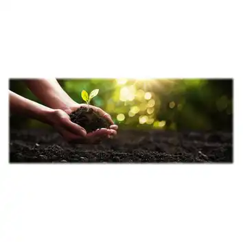 Ziemia do wysiewu nasion z włóknem kokosowym BIOVITA 50L