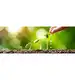 eGarden Ziemia Uniwersalna do Kwiatów Roślin 20l