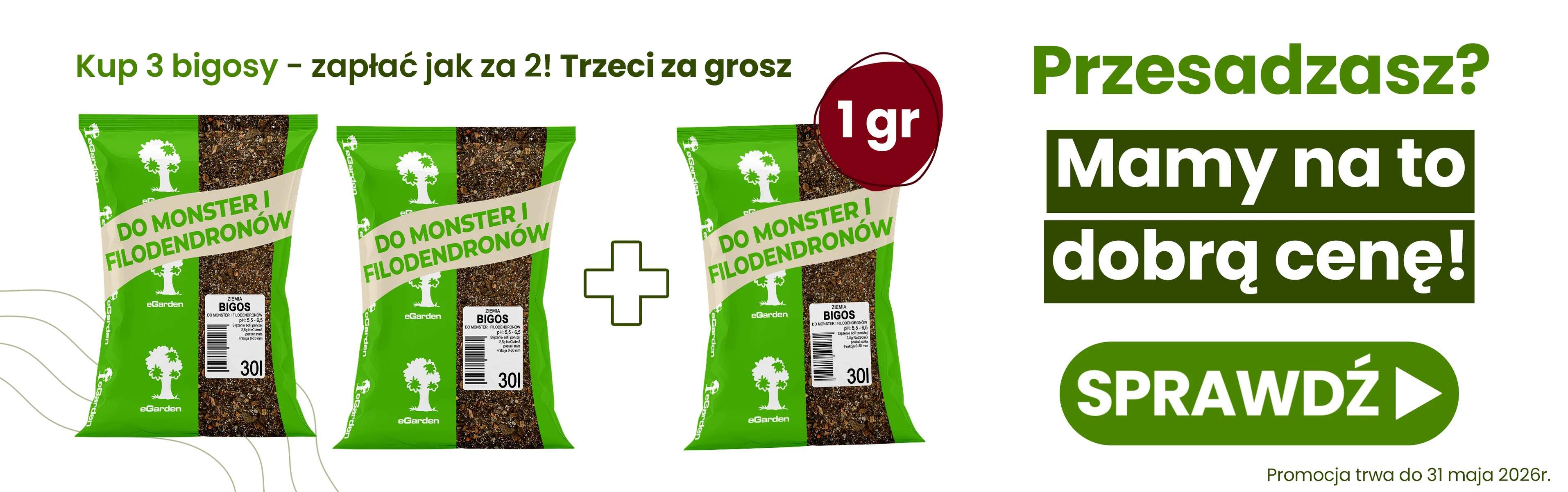 Bigos do monster 2+1
