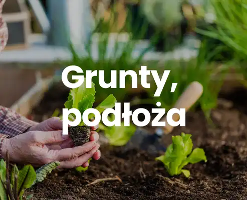 grunty i podłoża